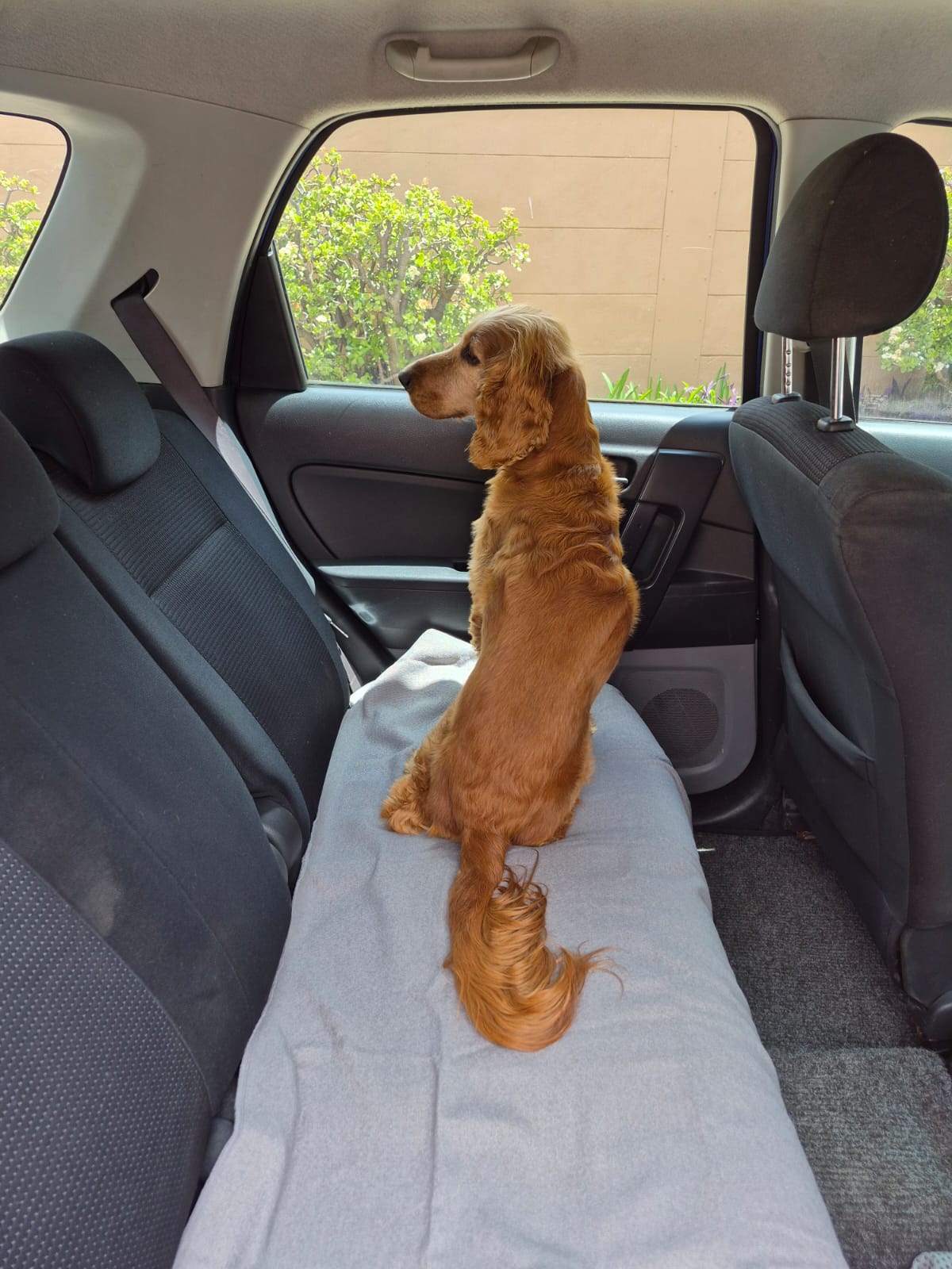 FitGrip Visual Journey