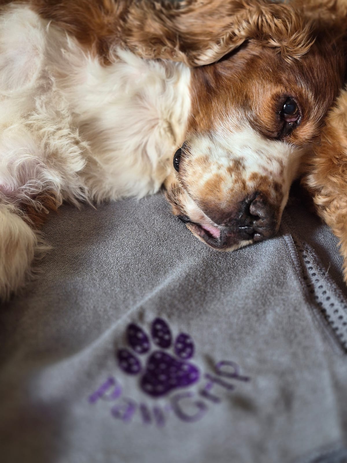 FitGrip Visual Journey