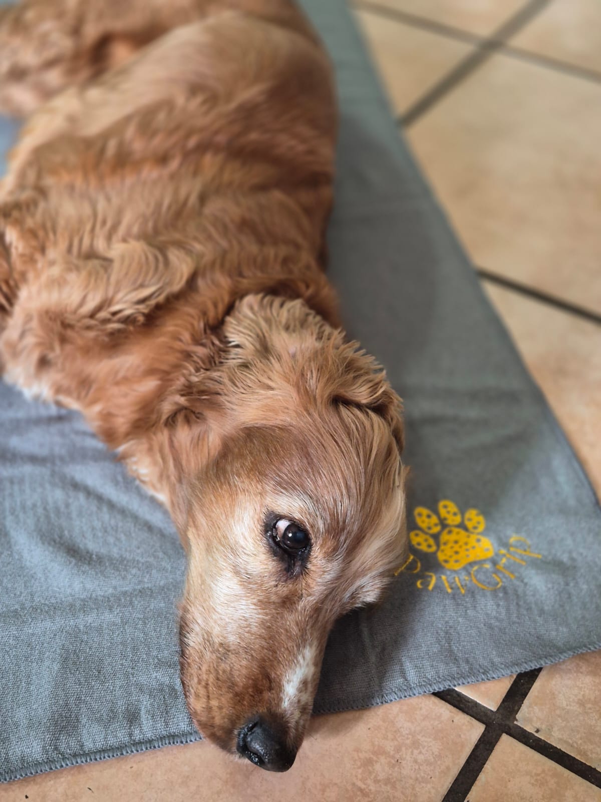 FitGrip Visual Journey