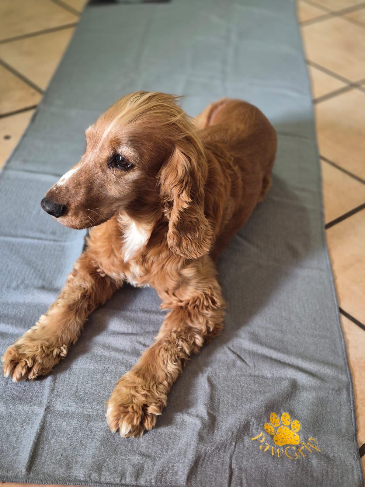 FitGrip Visual Journey