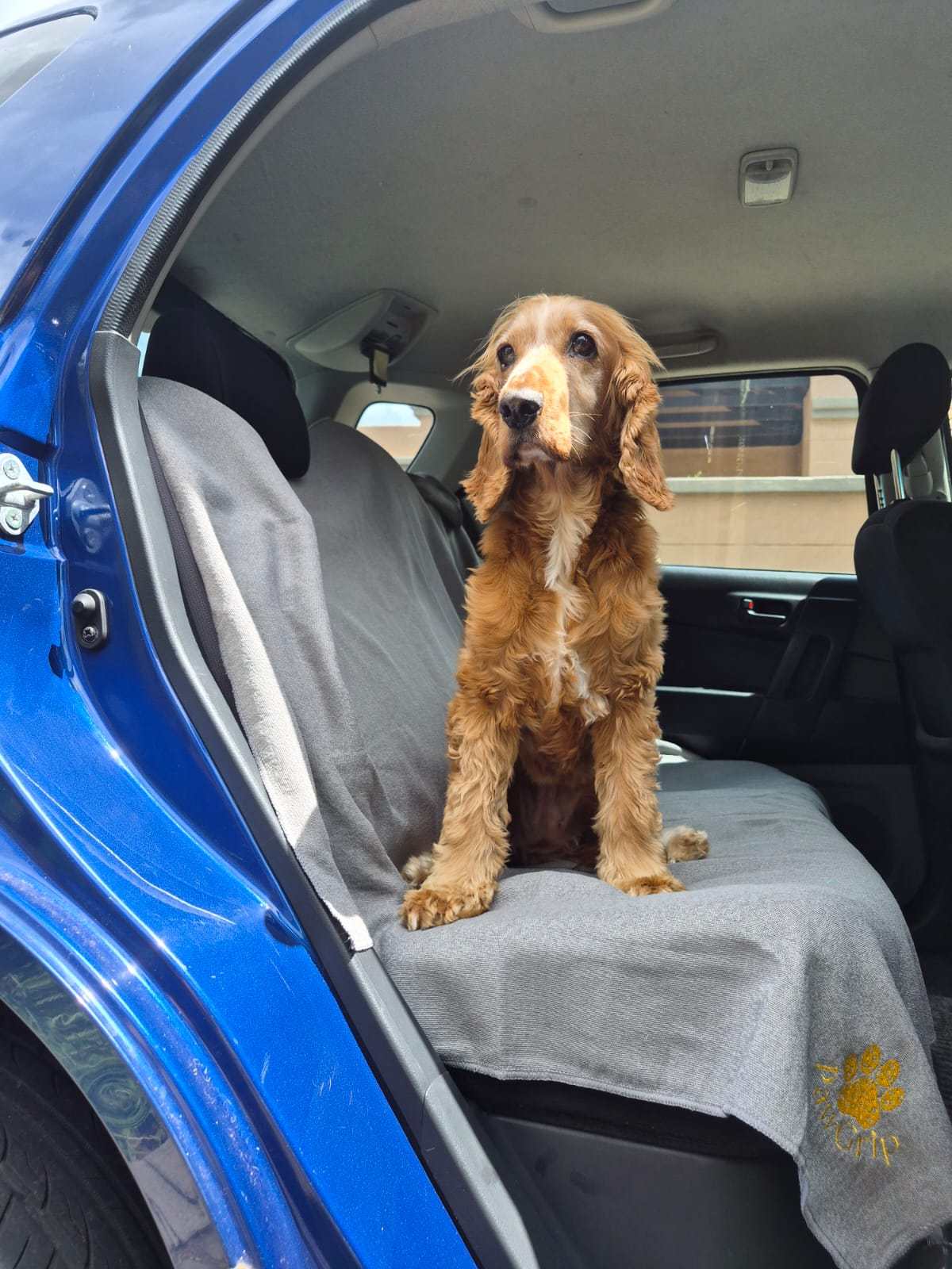 FitGrip Visual Journey