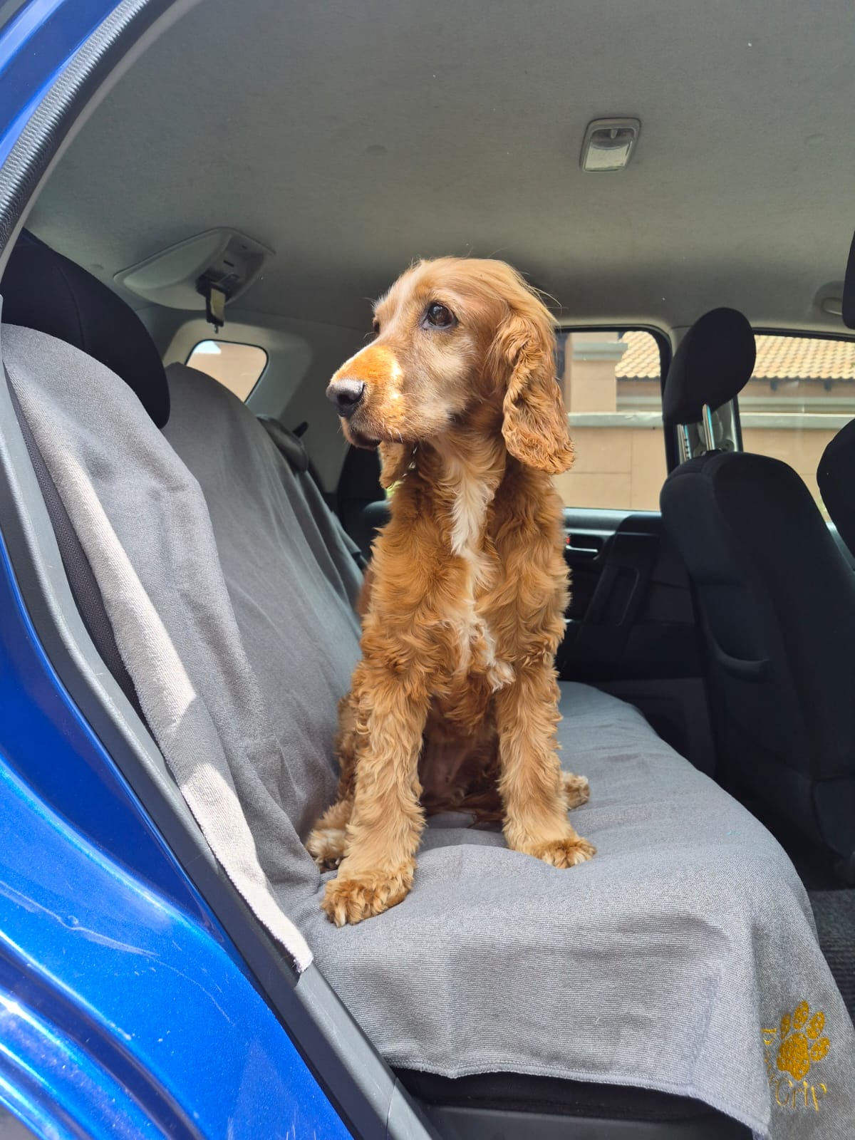 FitGrip Visual Journey