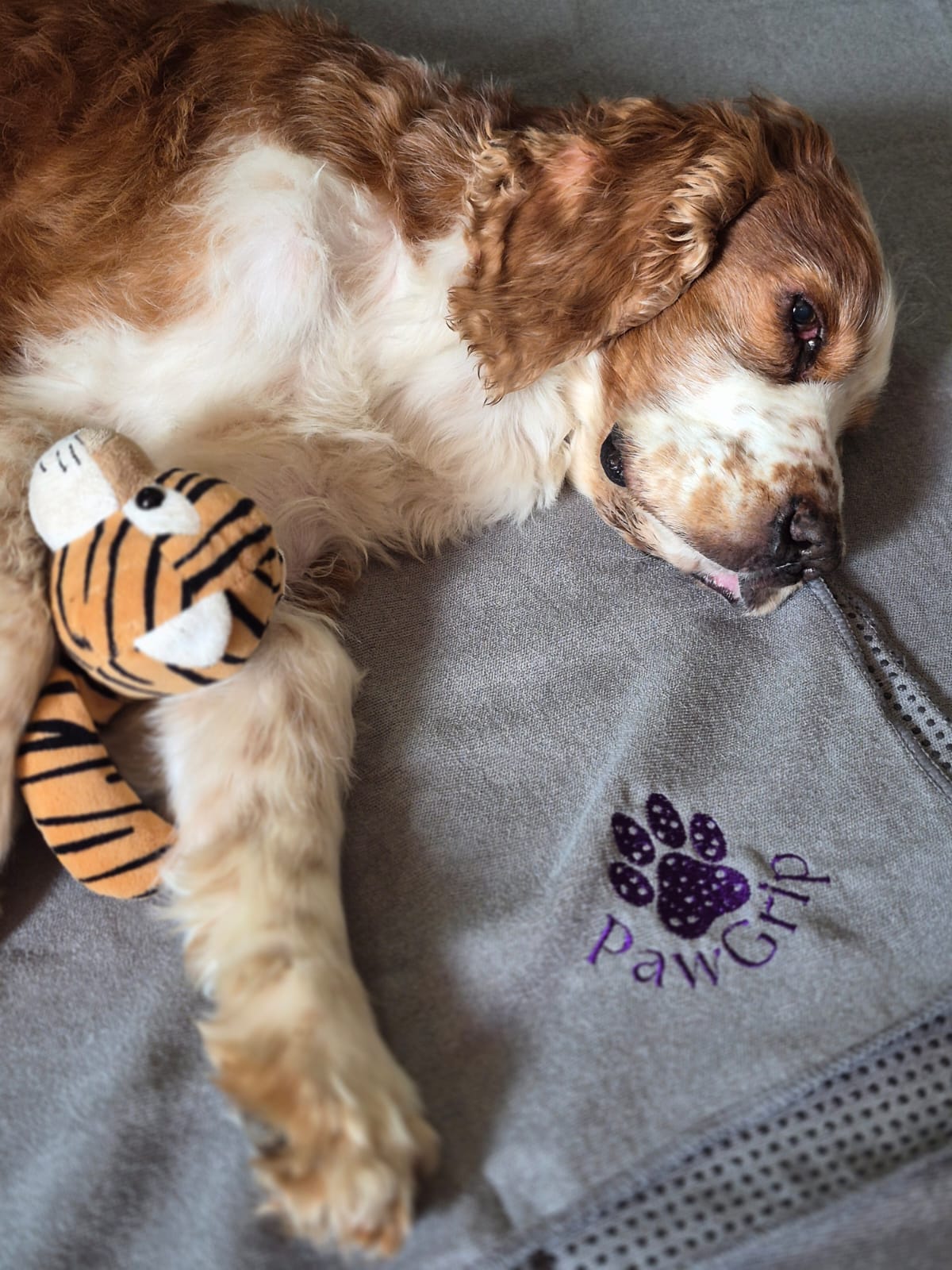 FitGrip Visual Journey