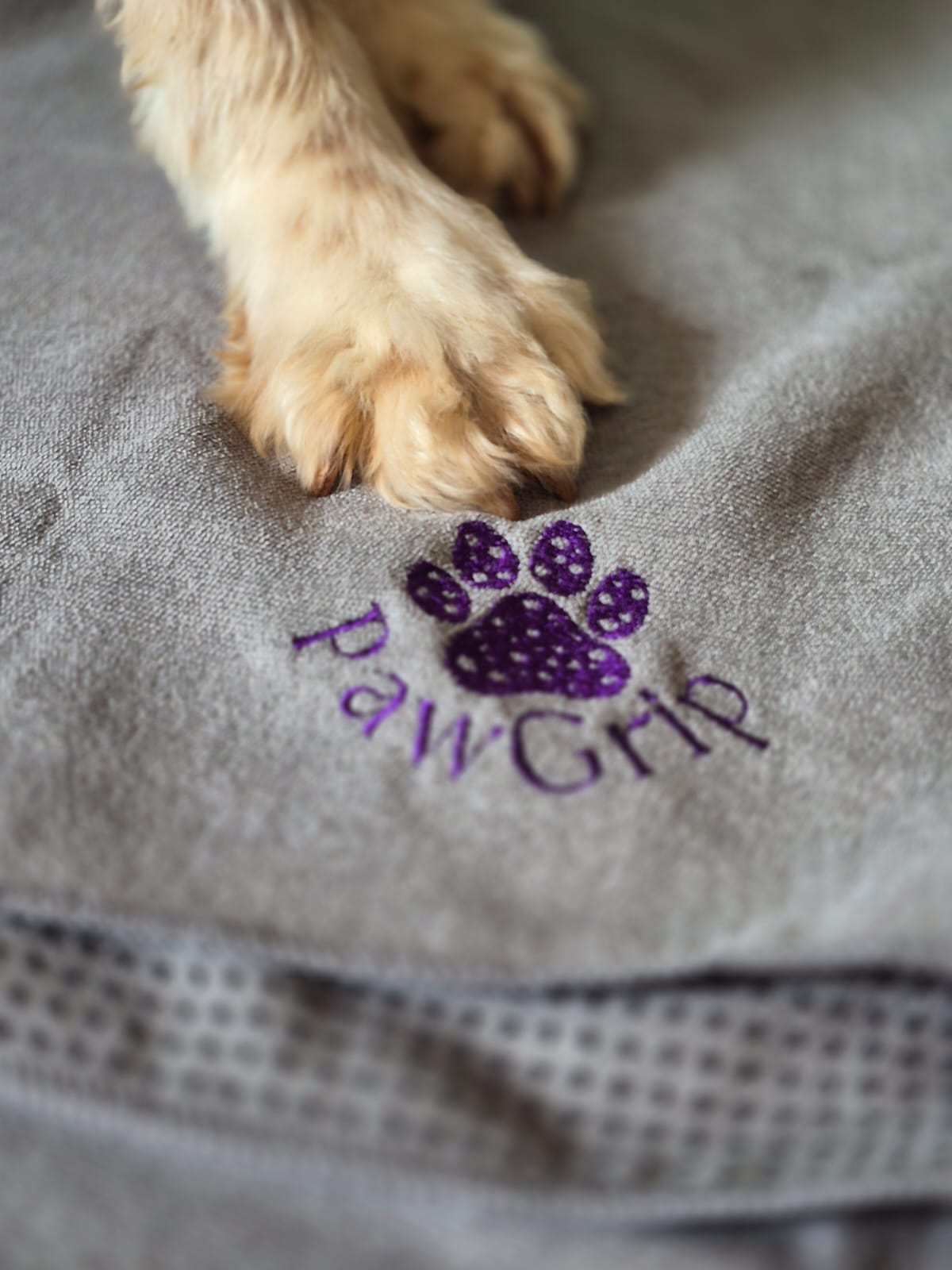 FitGrip Visual Journey