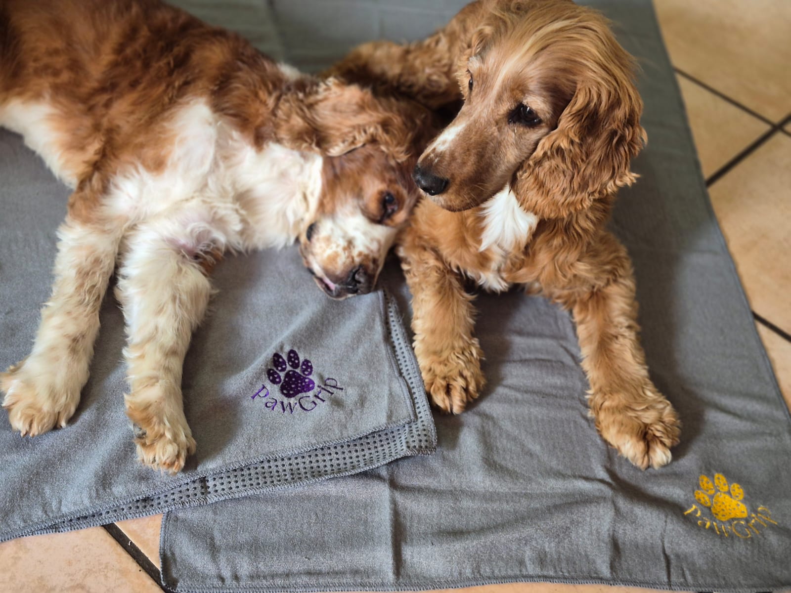 FitGrip Visual Journey