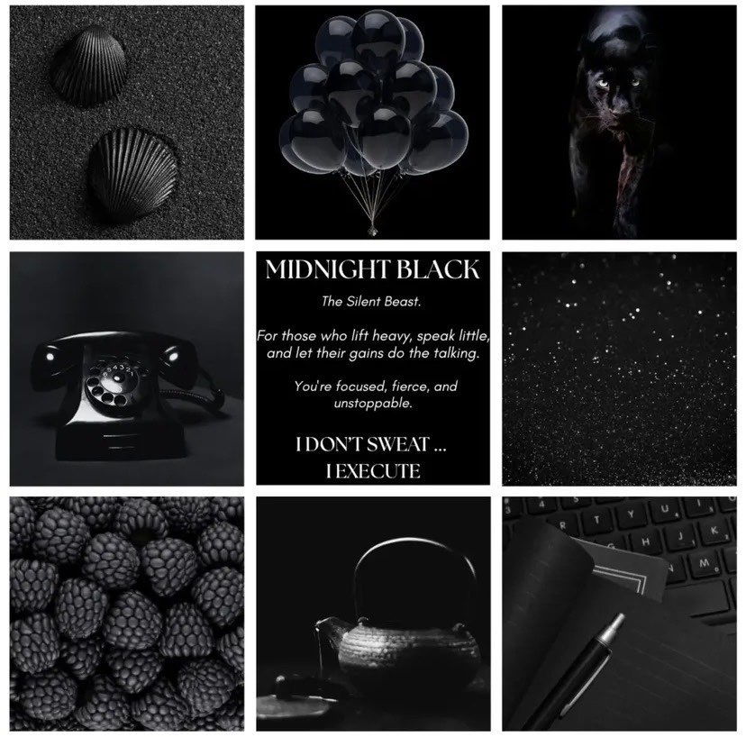 FitGrip Visual Journey