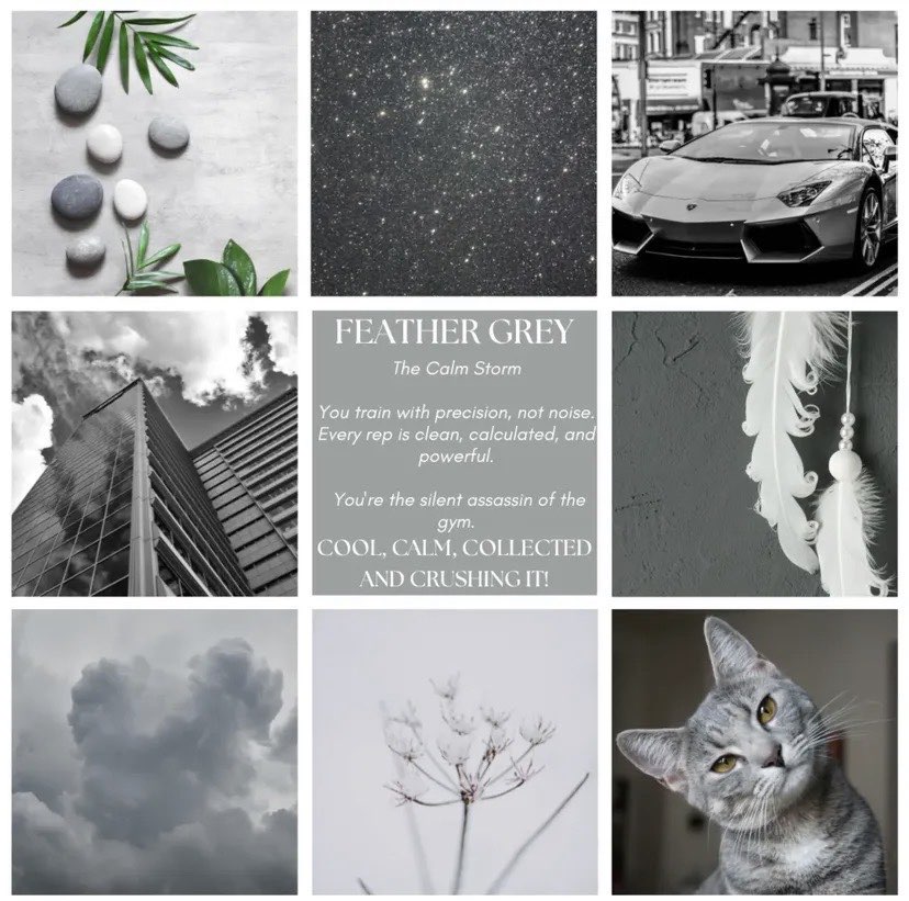 FitGrip Visual Journey