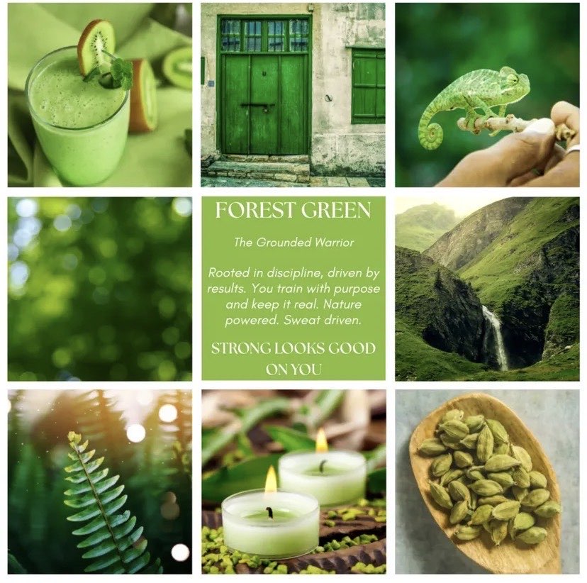 FitGrip Visual Journey