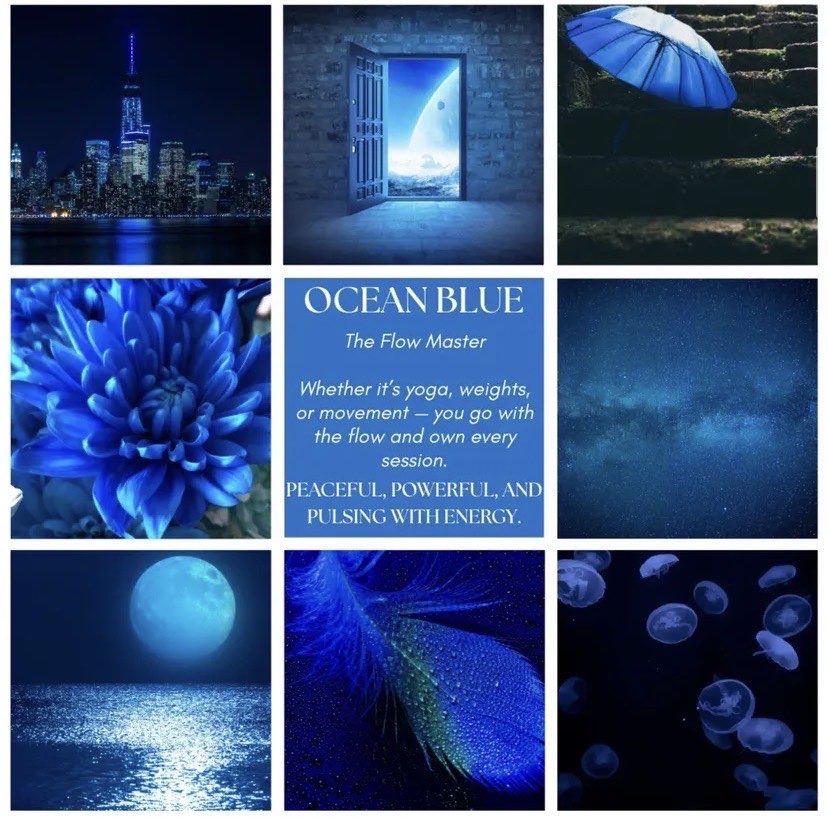 FitGrip Visual Journey