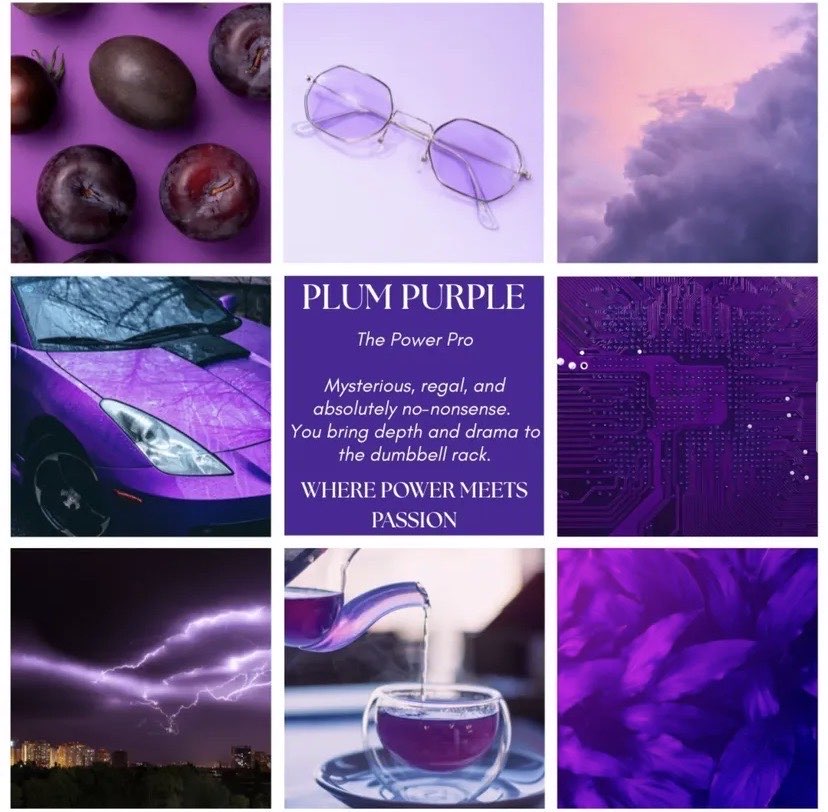 FitGrip Visual Journey