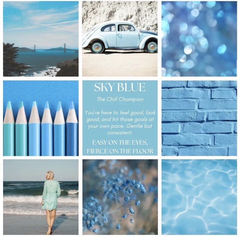 FitGrip Visual Journey