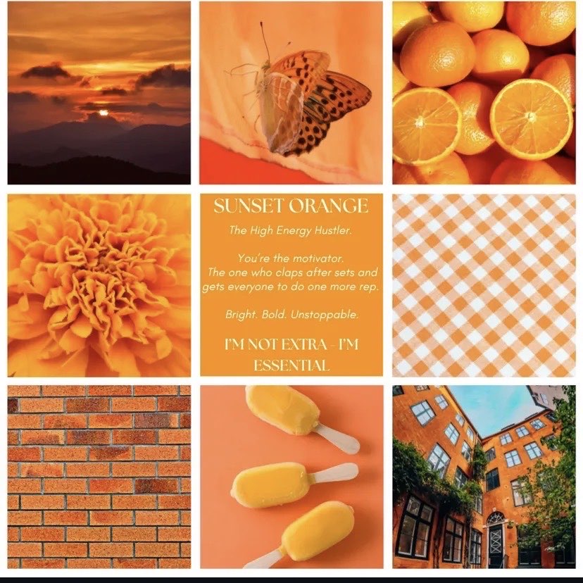 FitGrip Visual Journey